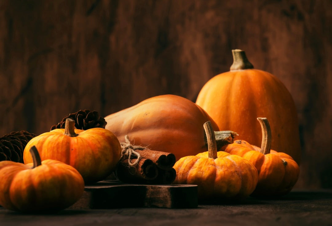 Pumpkin Reverie Collection