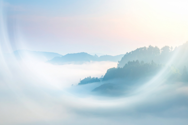 Misty landscape with trees and soft light