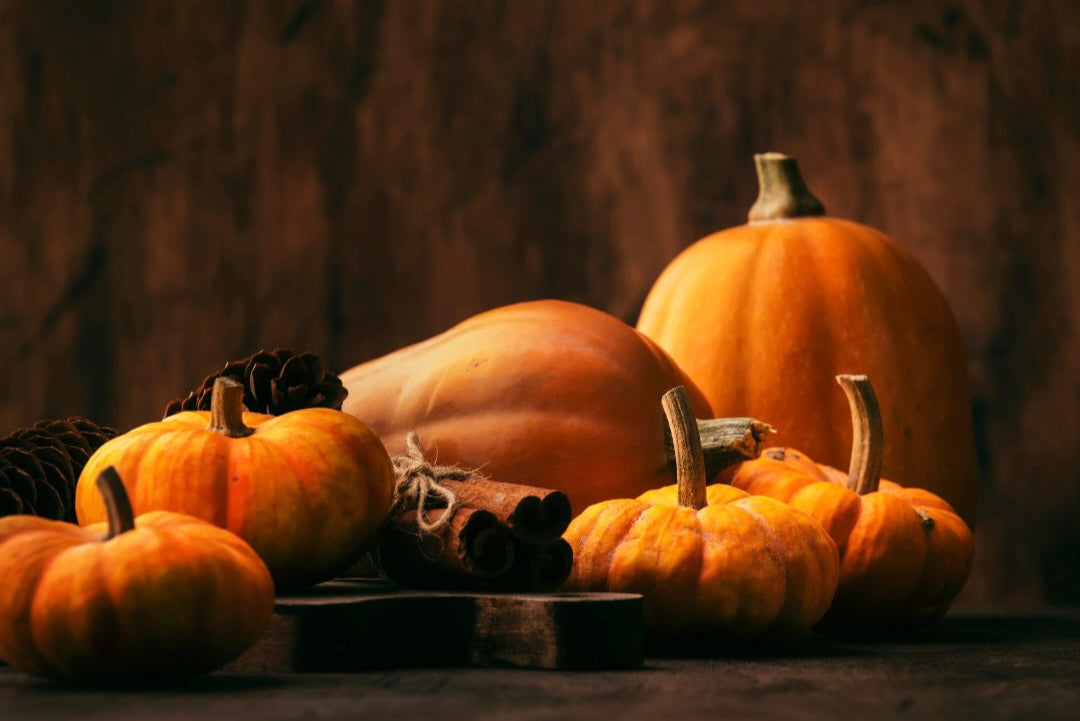 Assorted pumpkins and gourds on a dark surface with a blurred background