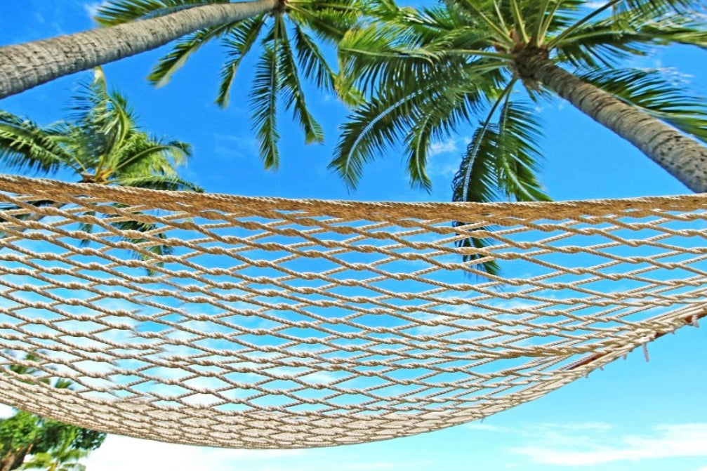 Coconut tree and hammock representing  Cabana Daydream scent