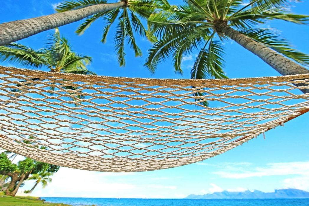 Coconut tree and hammock representing Hexaglow Cabana Daydream candle scent