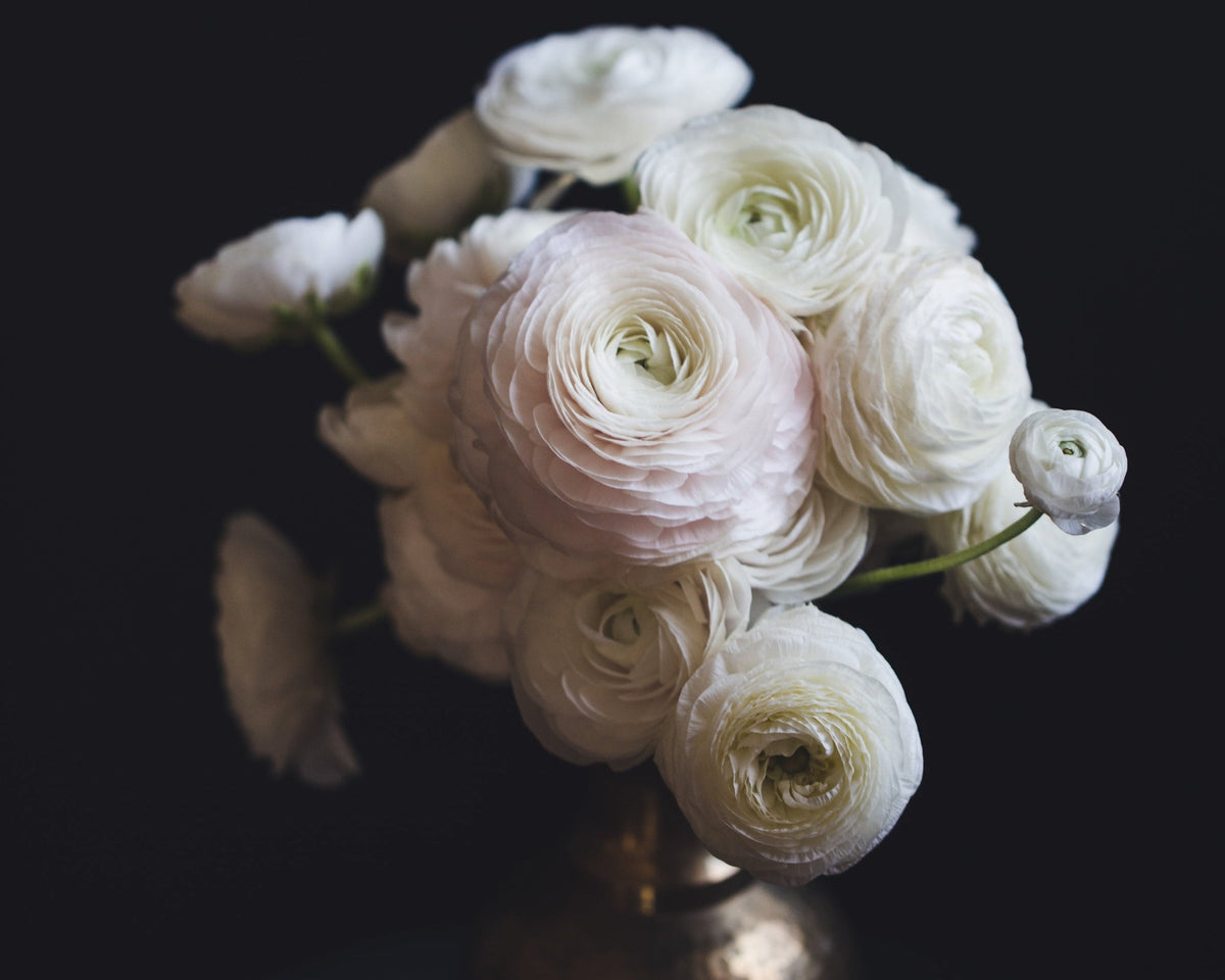 soft florals