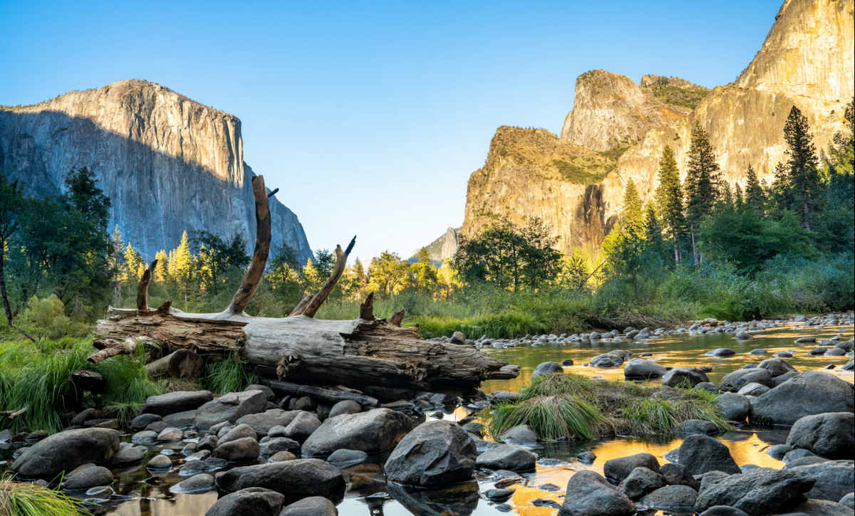 A scenic landscape photograph of a rocky riverbed with a large fallen log in the foreground, surrounded by green grass and trees, with towering granite cliffs under a clear blue sky in the background.