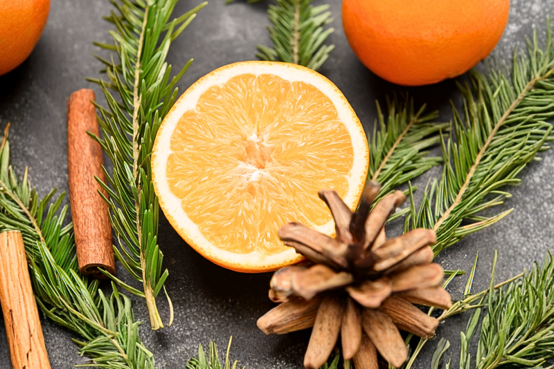 Oranges, cinnamon sticks, and pine cones on a dark surface